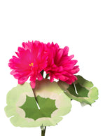 Load image into Gallery viewer, Mini Geranium Plant
