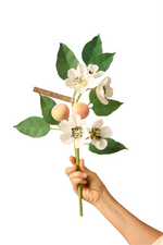 Load image into Gallery viewer, Pear Branch
