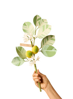 Load image into Gallery viewer, Citrus Branch
