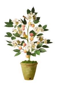 Pear Tree