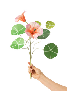 Nasturtium Stem