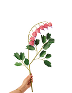 Load image into Gallery viewer, Bleeding Heart Stem
