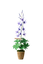Load image into Gallery viewer, Cardinal Larkspur Plant
