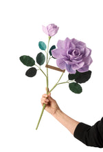Load image into Gallery viewer, Rose Charles de Gaulle Stem
