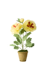 Load image into Gallery viewer, Charm Peony Plant
