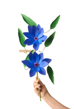 Load image into Gallery viewer, Clematis Stem
