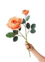 Load image into Gallery viewer, Rose Eden Stem
