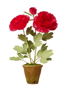 peony plant pot Peony Plant – The Green Vase
