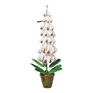 foxglove plant in pot Foxglove Plant – The Green Vase