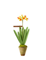 Load image into Gallery viewer, Jonquil Stem
