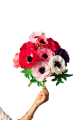 Load image into Gallery viewer, Anemone Stem
