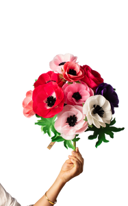 Anemone Stem