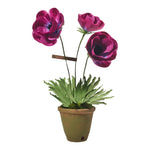 Load image into Gallery viewer, Anemone Plant
