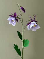 Load image into Gallery viewer, New Columbine Stem
