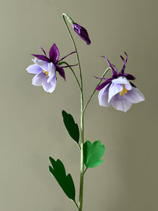 New Columbine Stem
