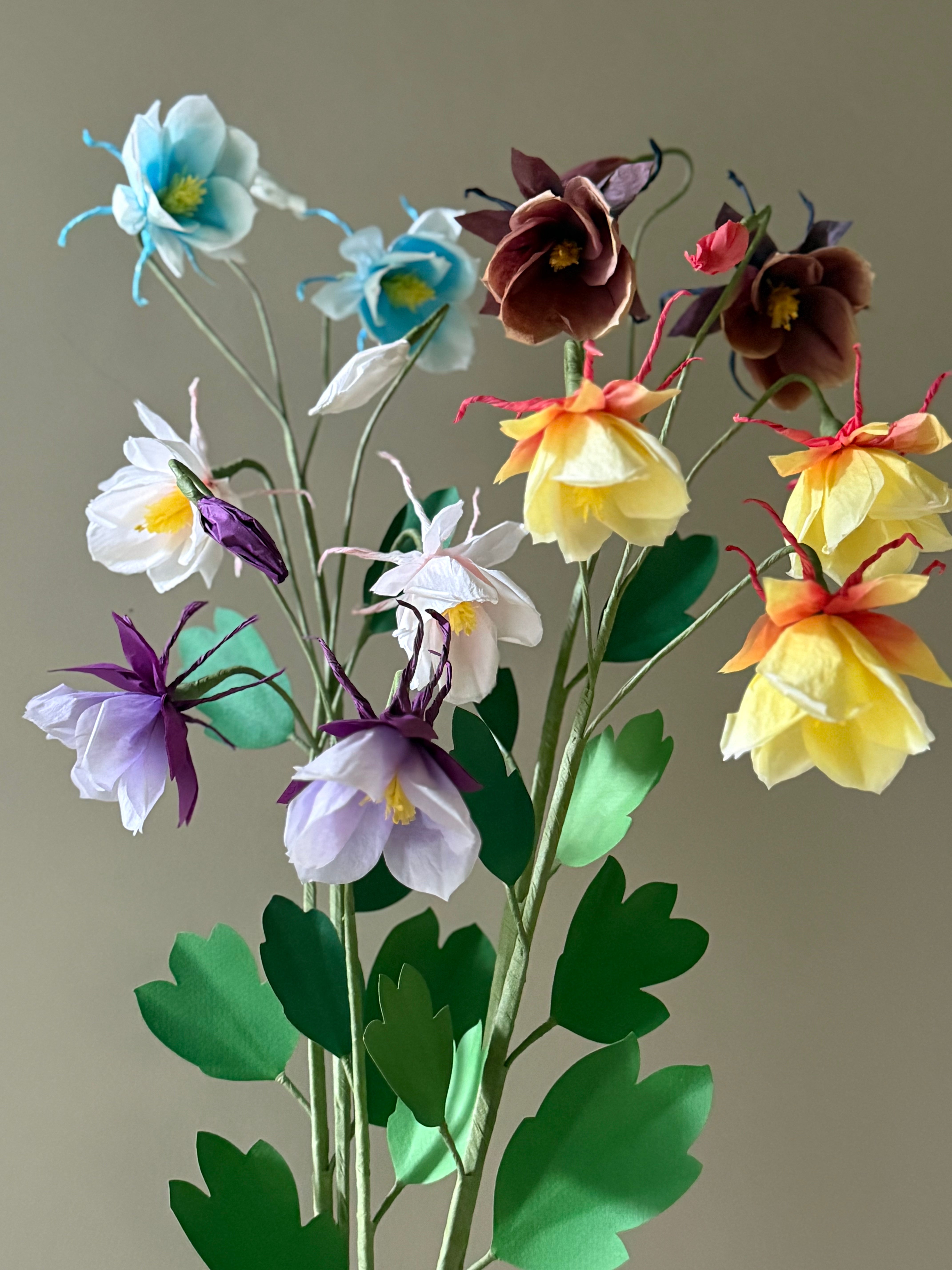 New Columbine Stem