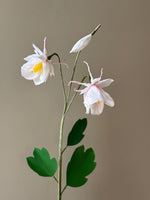 Load image into Gallery viewer, New Columbine Stem
