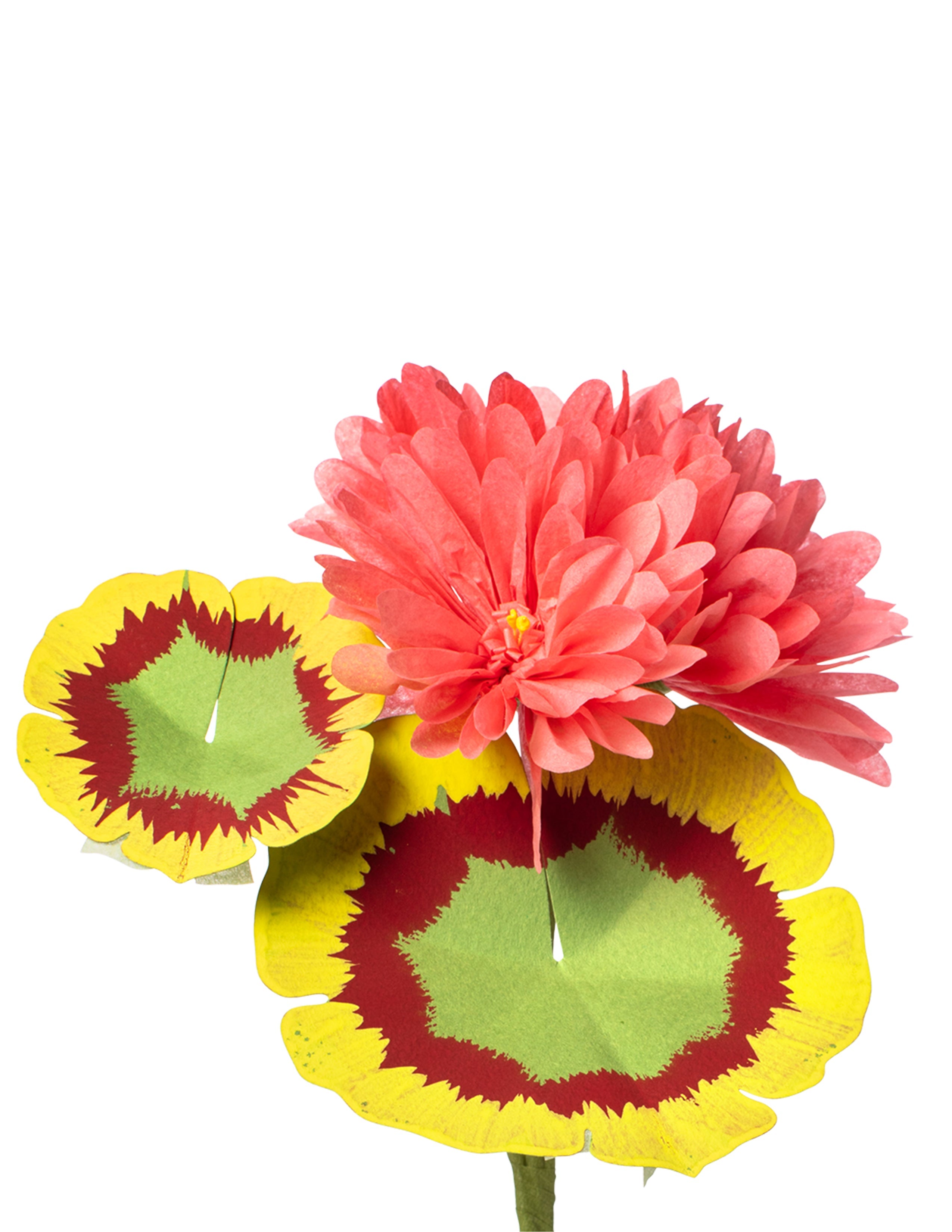 Mini Geranium Plant - Ready to Ship