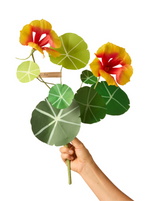 Load image into Gallery viewer, Nasturtium Plant
