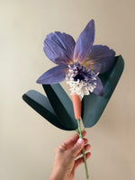 Load image into Gallery viewer, Cattleya Orchid - Ready to Ship
