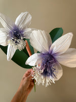 Load image into Gallery viewer, Cattleya Orchid - Ready to Ship
