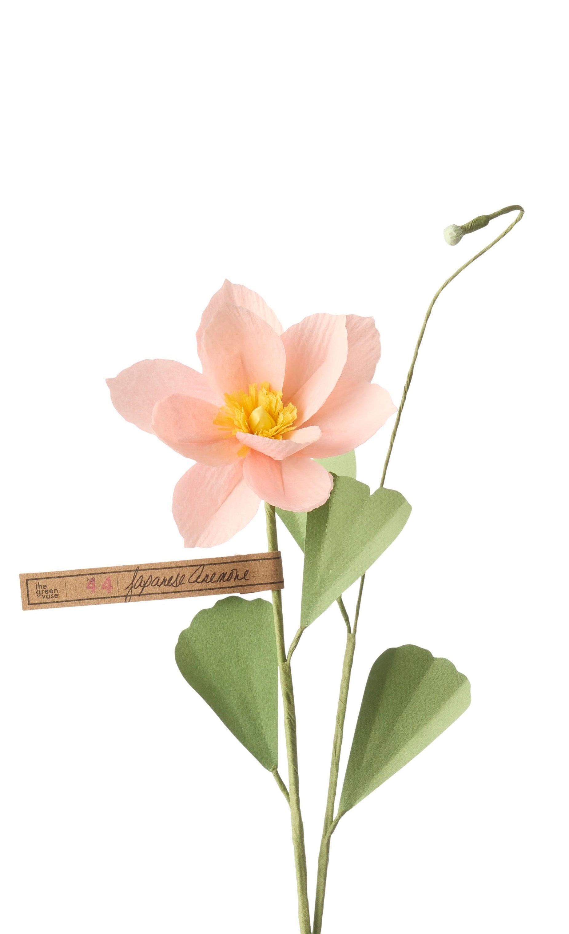 Japanese Anemone – The Green Vase