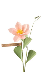 Load image into Gallery viewer, Japanese Anemone
