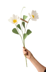 Load image into Gallery viewer, Japanese Anemone
