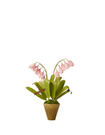 Load image into Gallery viewer, Mini Lily of the Valley Plant
