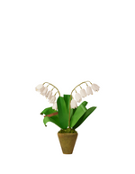 Load image into Gallery viewer, Mini Lily of the Valley Plant

