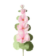 Load image into Gallery viewer, Hollyhock Plant
