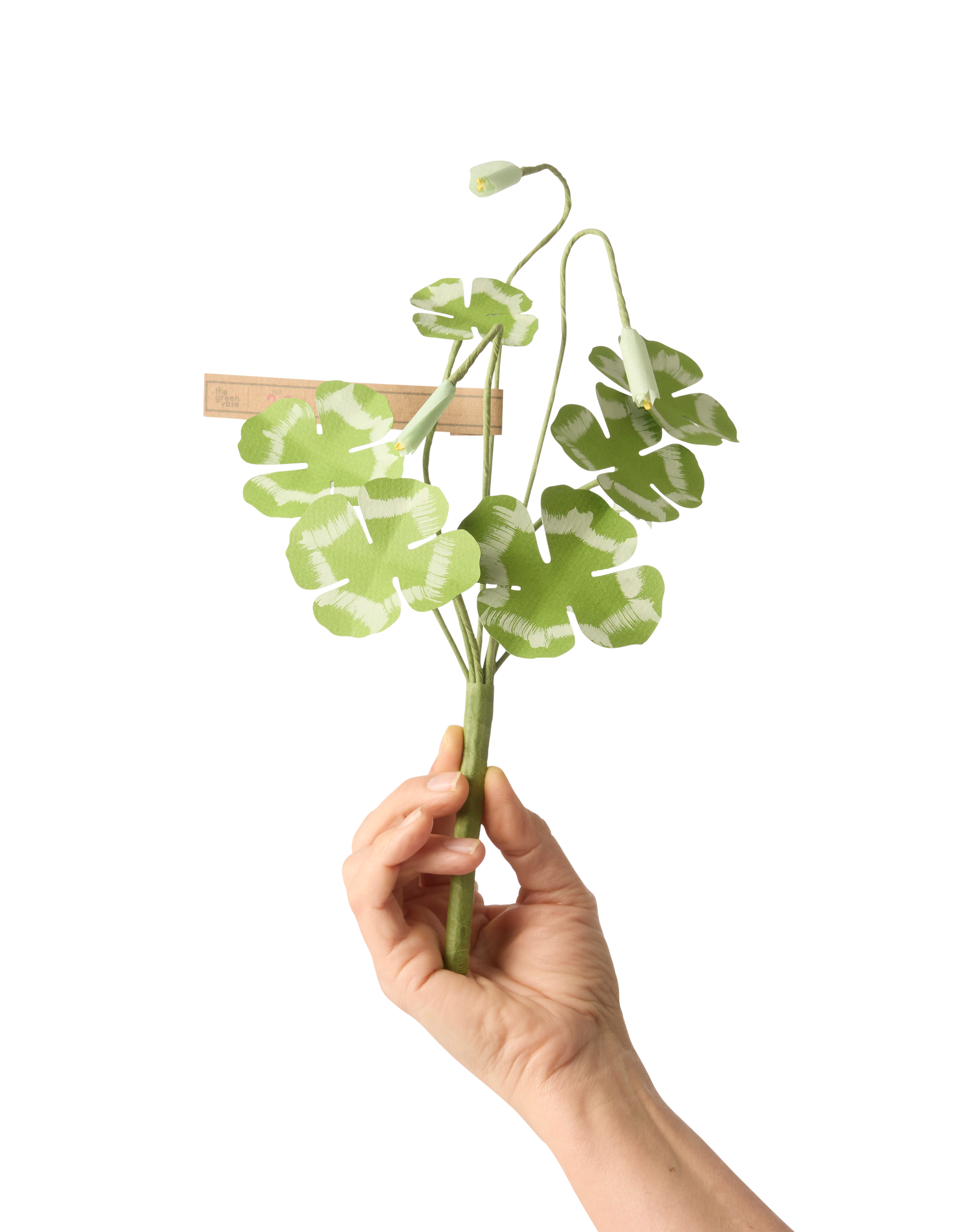 『clover様　オーダー出品ページ』 Clover – The Green Vase
