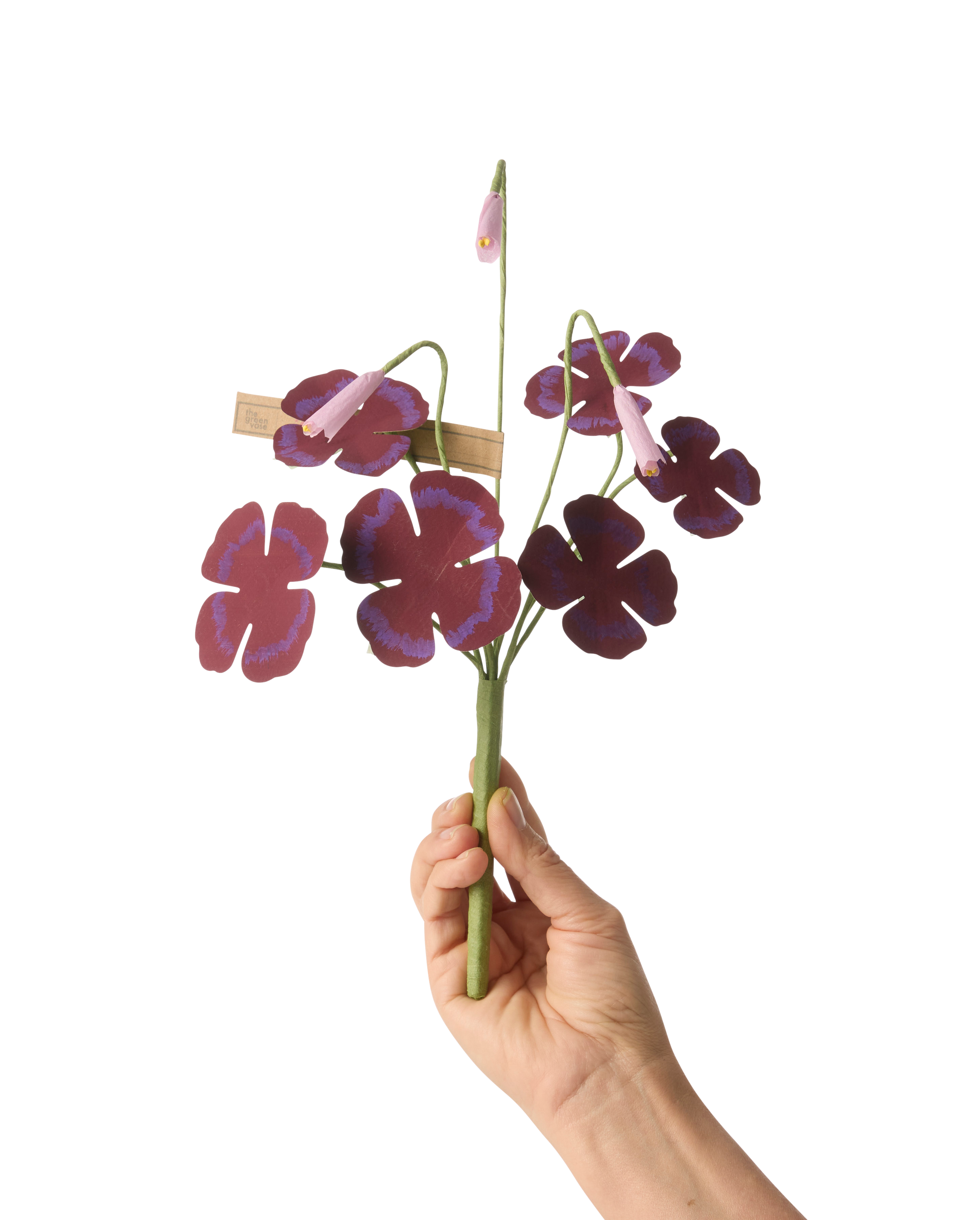 Clover – The Green Vase