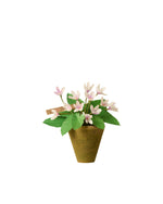 Load image into Gallery viewer, Violet Plant
