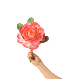 Camellia Stem