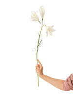 Load image into Gallery viewer, Easter Lily Stem
