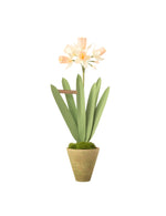 Load image into Gallery viewer, Mini Daffodil Plant
