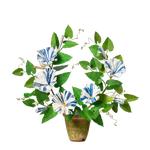 Load image into Gallery viewer, Morning Glory Plant

