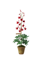 Load image into Gallery viewer, Cardinal Larkspur Plant
