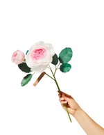 Load image into Gallery viewer, Rose Chevalier Stem
