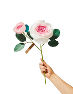 Load image into Gallery viewer, Rose Chevalier Stem
