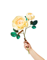Load image into Gallery viewer, Rose Chevalier Stem

