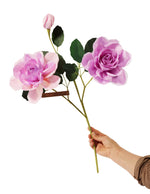Load image into Gallery viewer, Rose Charles de Gaulle Stem
