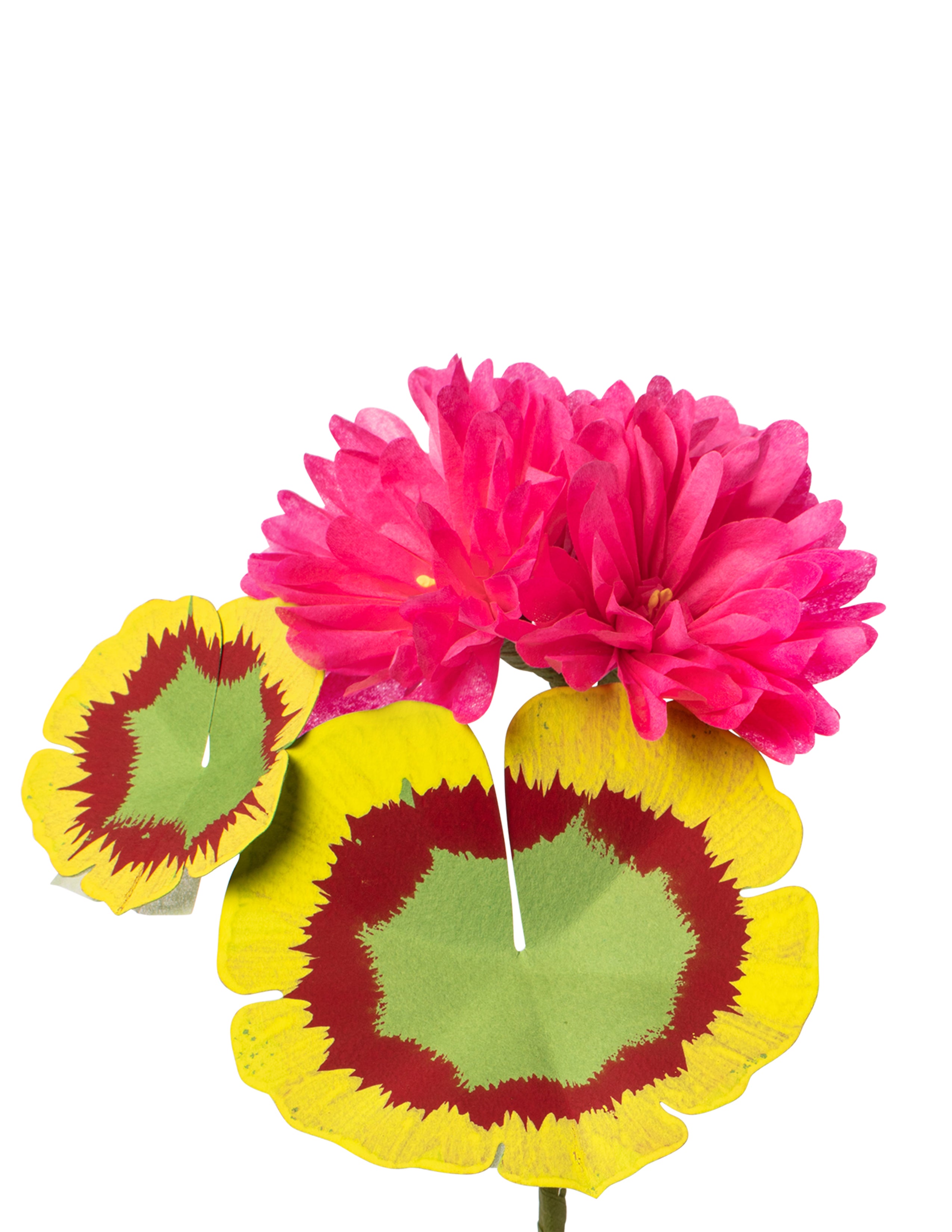 Mini Geranium Plant – The Green Vase
