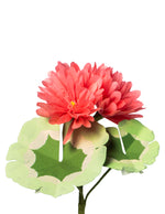 Load image into Gallery viewer, Mini Geranium Plant
