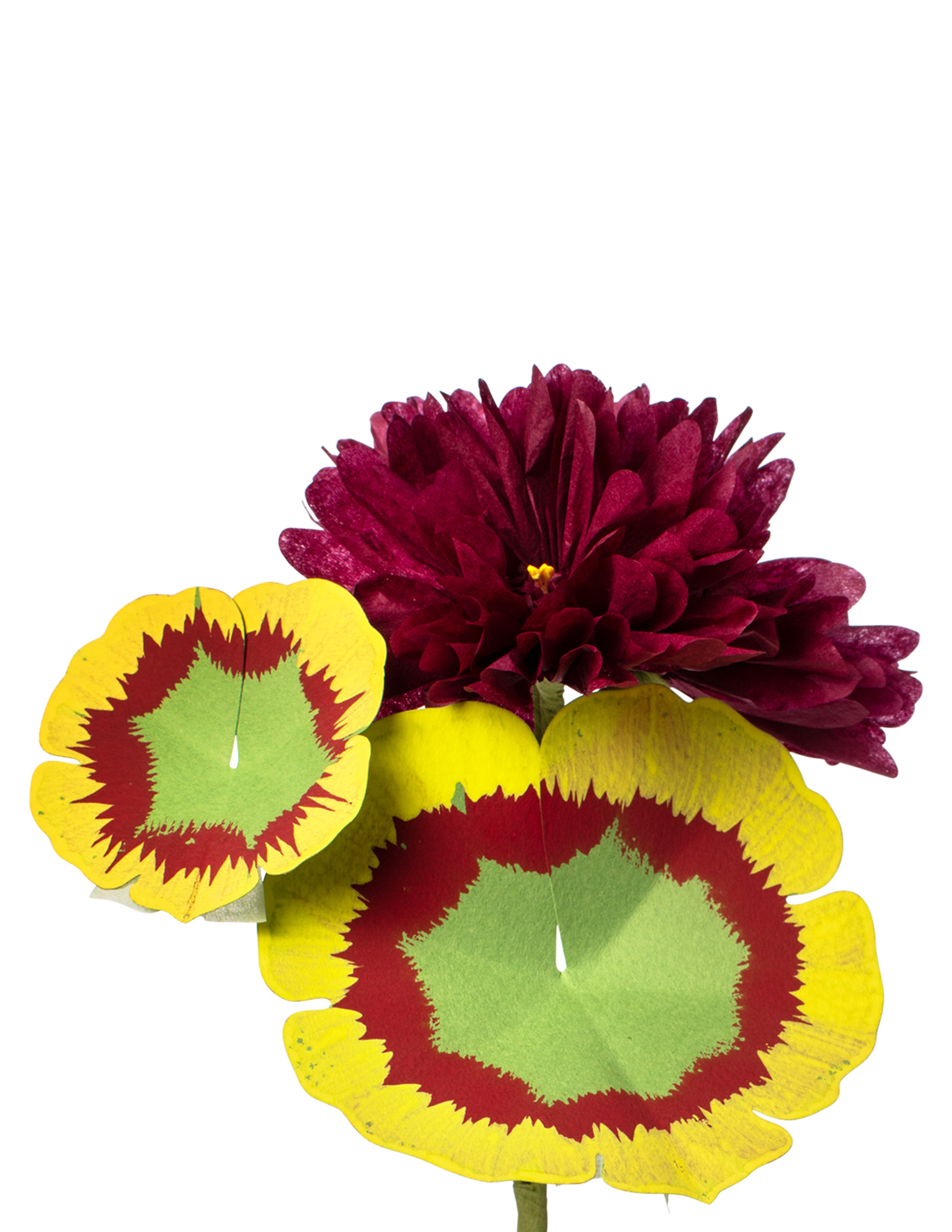 Mini Geranium Plant – The Green Vase
