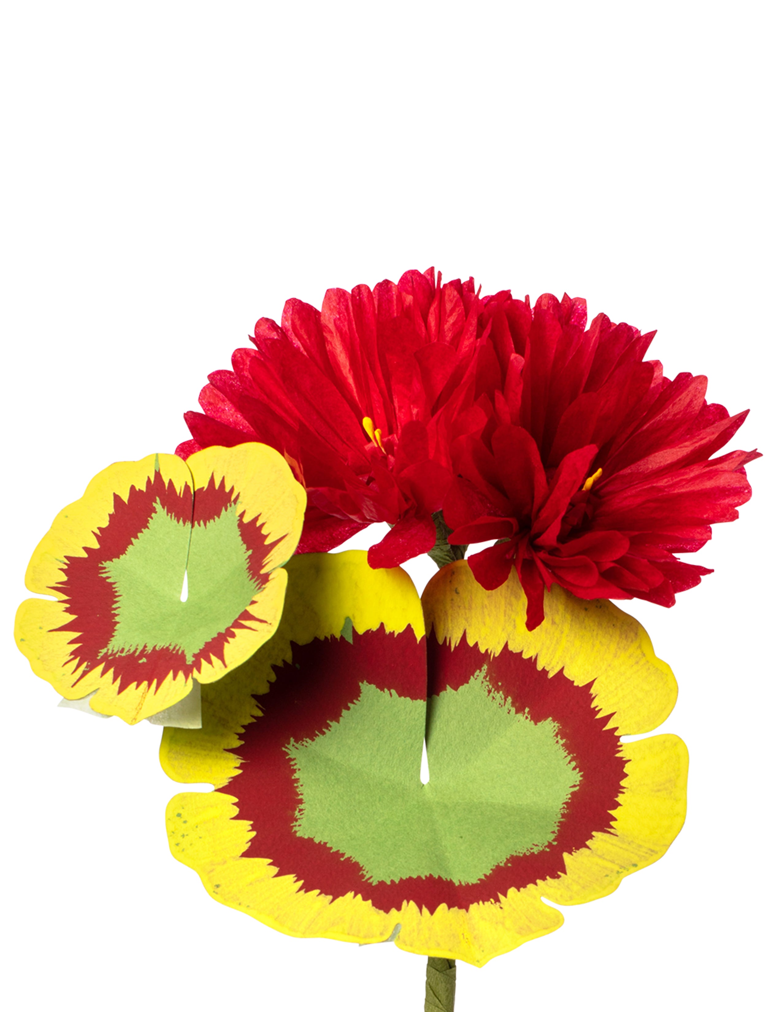 Mini Bloom Geraniums Mini Geranium Plant – The Green Vase