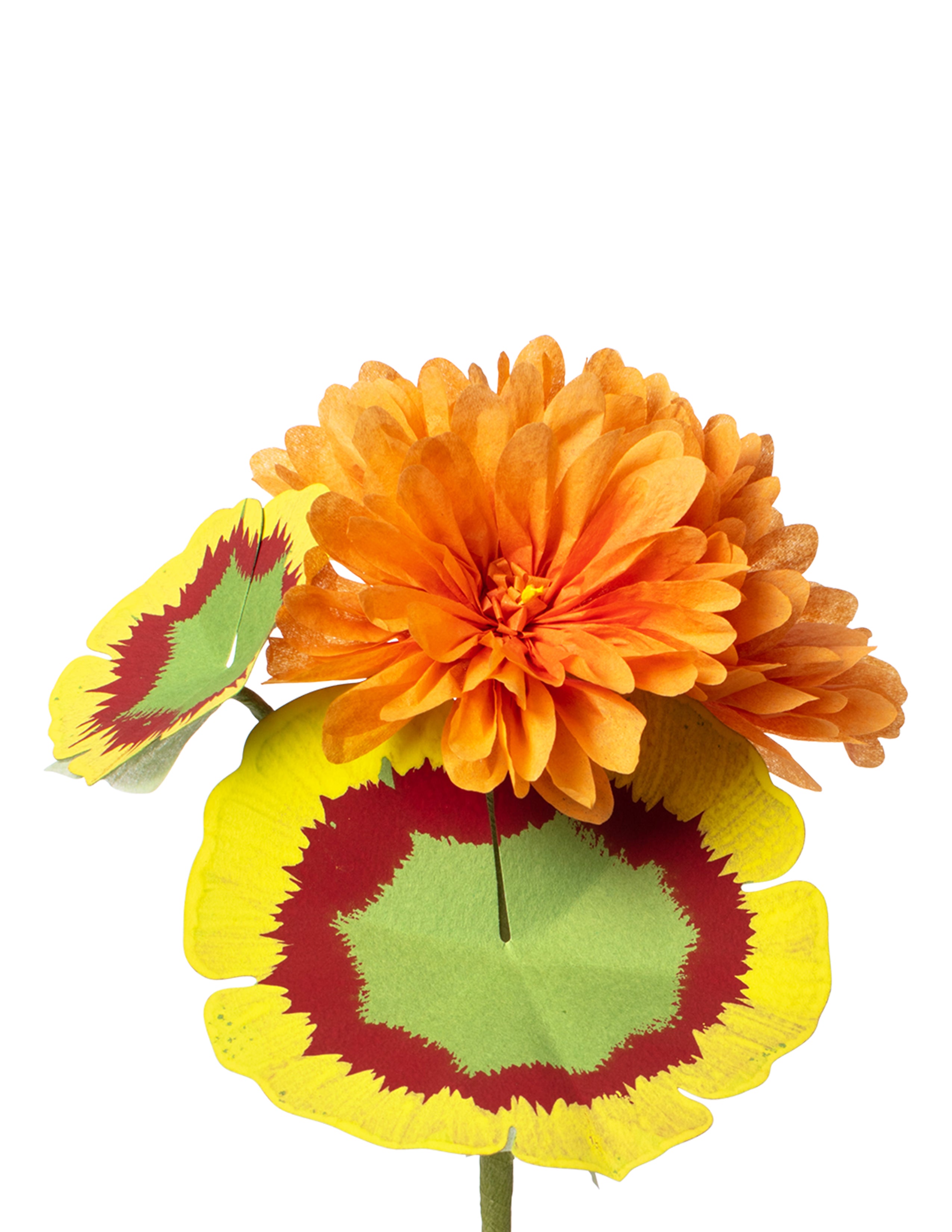 Mini Geranium Plant – The Green Vase