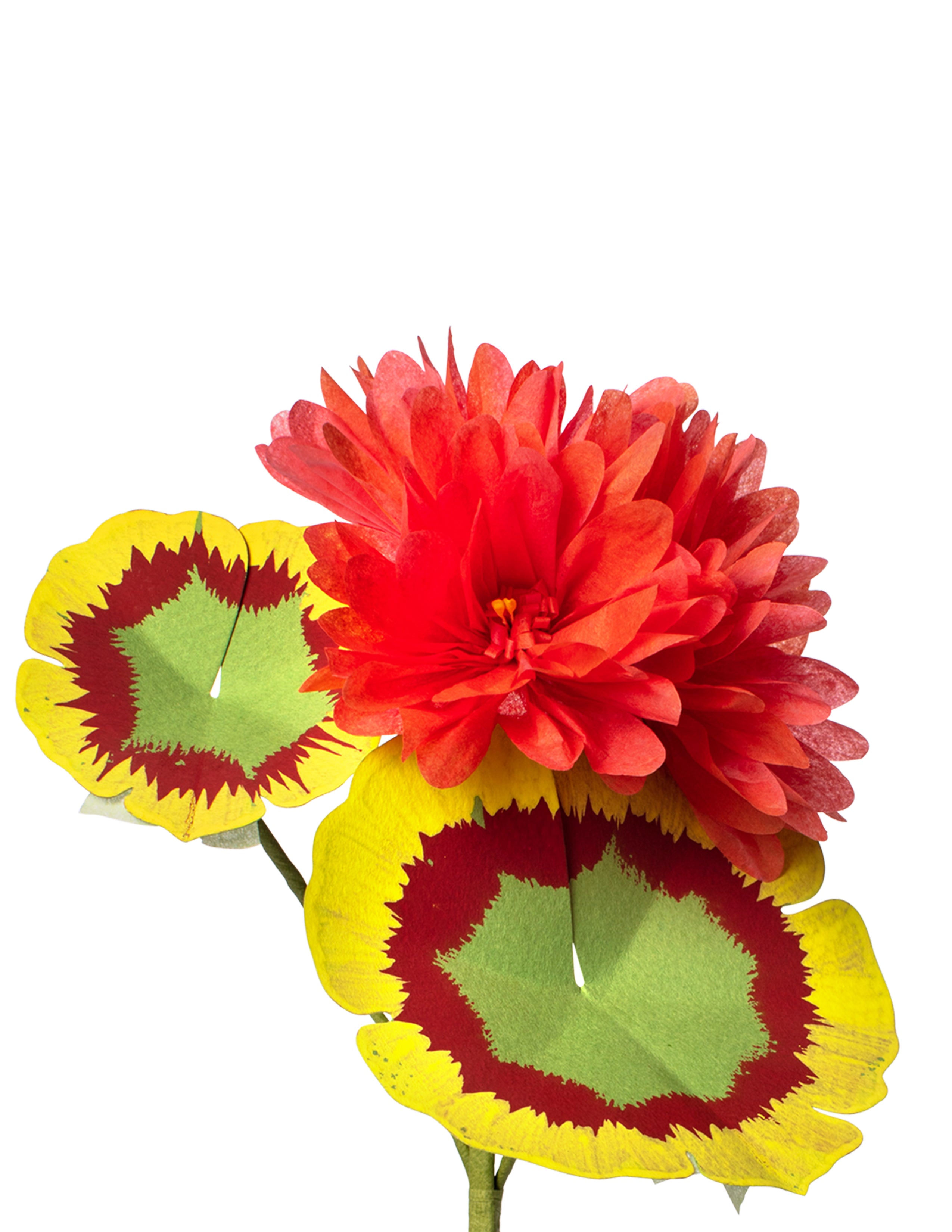 Mini Geranium Plant – The Green Vase