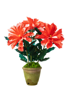 artificial poinsettia potted plants Poinsettia Plant – The Green Vase